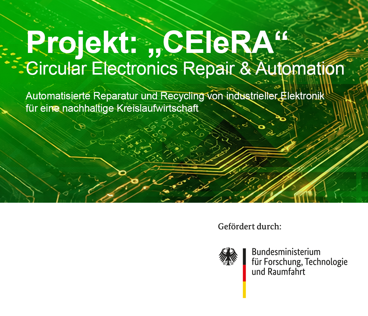 celera-web-beitragsbild2026